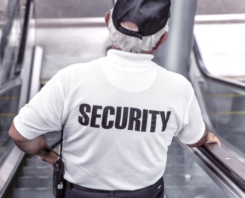 Sicherheitsmitarbeiter für Veranstaltungen von Brock Service GmbH & Co Kg bei der Arbeit. Karriere. Jobs.